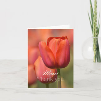 Tarjeta De Agradecimiento Tulip Rosado Gracias Notecard