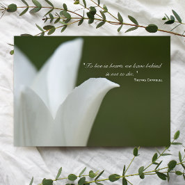 Tarjeta De Agradecimiento Tulipán blanco gracias por tu simpatía