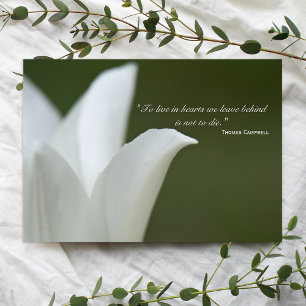 Tarjeta De Agradecimiento Tulipán blanco gracias por tu simpatía