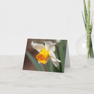 Tarjeta De Agradecimiento Tulipán de color naranja y crema