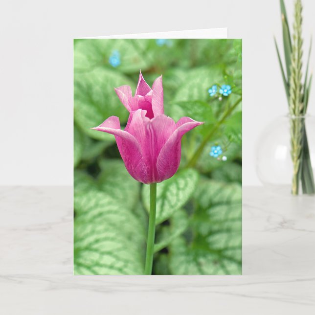 Tarjeta De Agradecimiento tulipán rosa gracias (Anverso)