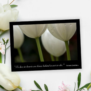 Tarjeta De Agradecimiento Tulipanes Blancos Gracias por su Simpatía