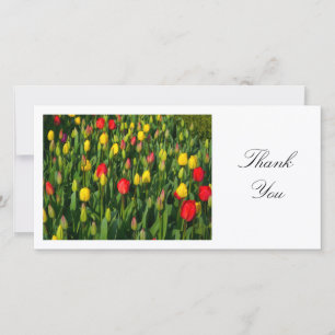 Tarjeta De Agradecimiento Tulipanes coloridos - Gracias