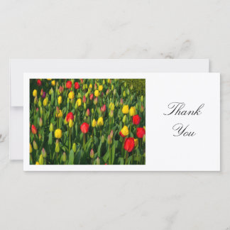 Tarjeta De Agradecimiento Tulipanes coloridos - Gracias