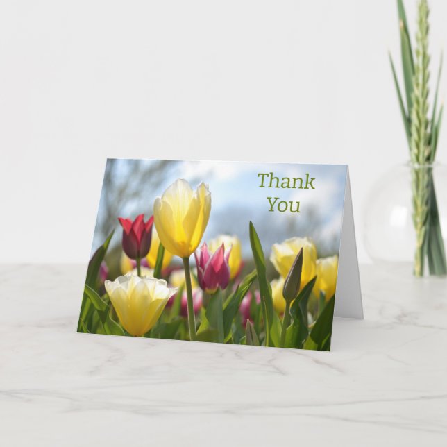 Tarjeta De Agradecimiento Tulipanes rojos, amarillos y rosados en el sol (Anverso)