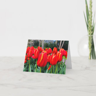 Tarjeta De Agradecimiento Tulipanes rojos - Notecard