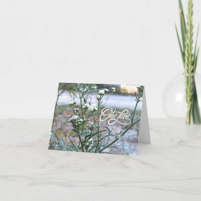 Tarjeta De Agradecimiento Un amor, Flor blanca, carta blanca de arte natural (Anverso)
