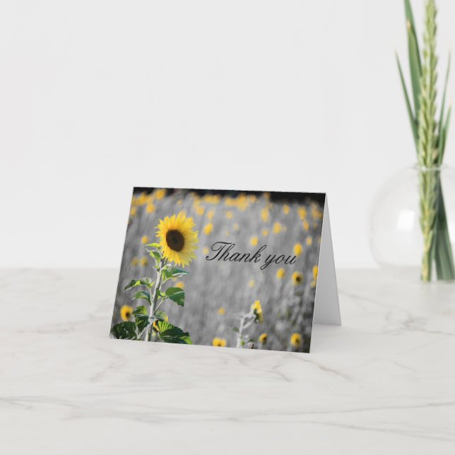 Tarjeta De Agradecimiento Un campo de girasoles en blanco y negro (Anverso)
