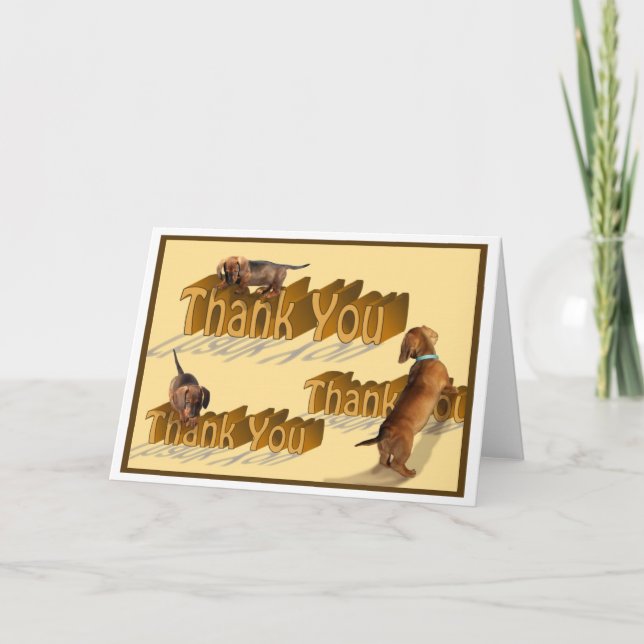 Tarjeta De Agradecimiento Un Dachshund Gracias (Anverso)