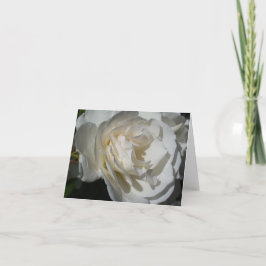 Tarjeta De Agradecimiento un delicado aliento blanco de pureza e inocencia