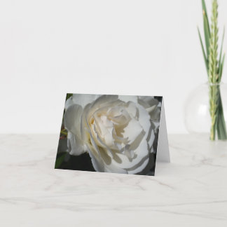 Tarjeta De Agradecimiento un delicado aliento blanco de pureza e inocencia