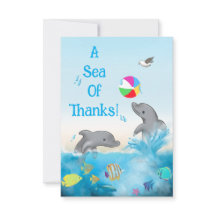 Un Mar de Gracias Delfín Océano