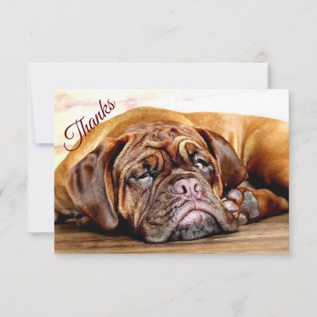 Tarjeta De Agradecimiento Un perro gruñón y durmiente Mascota animal gracias (Anverso)