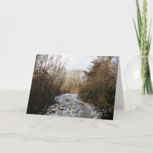 Tarjeta De Agradecimiento Un sendero invernal en Arnside