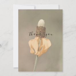 Tarjeta De Agradecimiento Un solo Naranja pálido