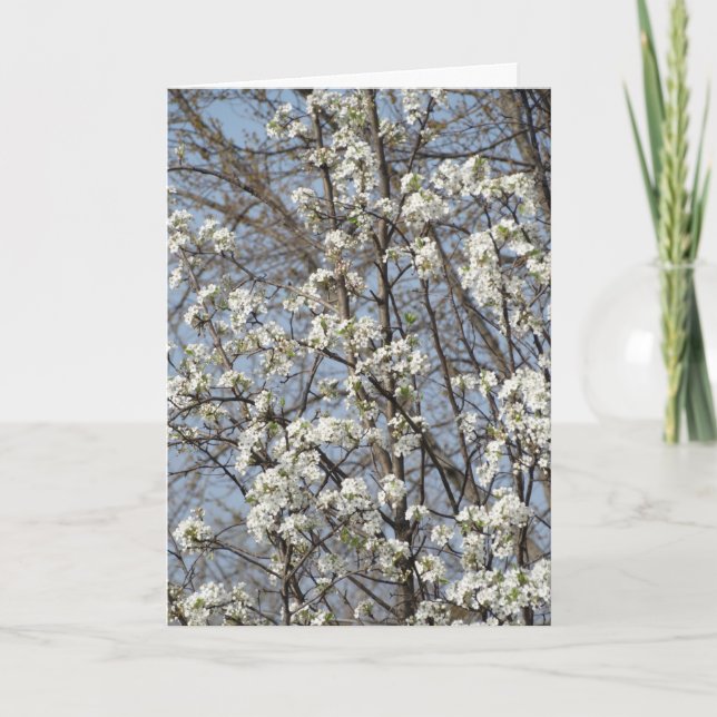 Tarjeta De Agradecimiento Un viejo amigo a través de las épocas de la vida (Anverso)