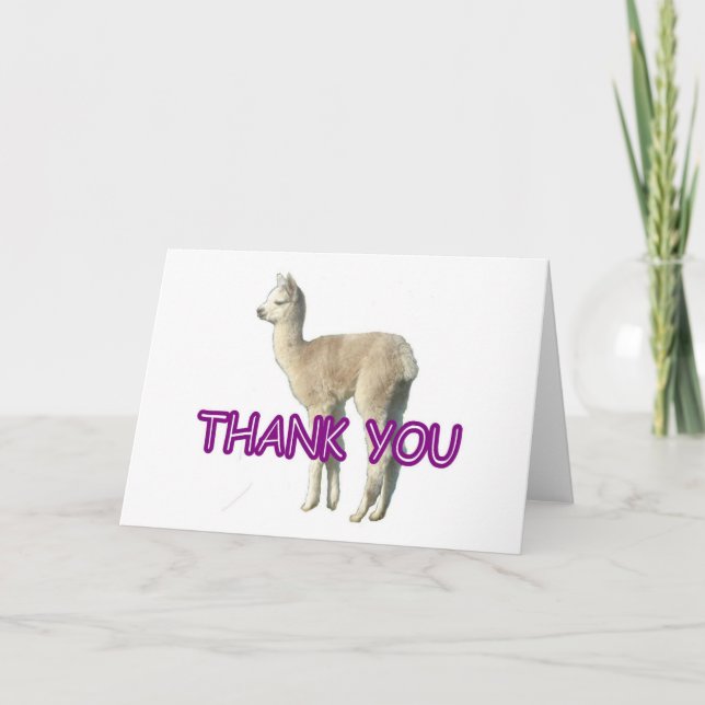 Tarjeta De Agradecimiento Una carta de alpaca "Gracias" (Anverso)
