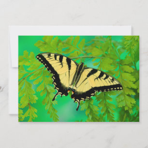 Tarjeta De Agradecimiento Una Mariposa Cola de Golondrina Aterrizando