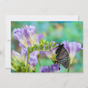 Tarjeta De Agradecimiento Una Mariposa Monarca   Danaus Plexippus