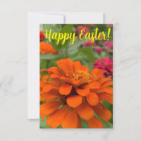 Una pizca de la brillante carta de Z "Happy Easter
