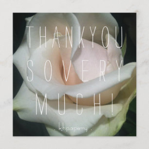 Tarjeta De Agradecimiento ¡Usted es un melocotón! Gracias cardar