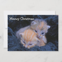 Tarjeta De Agradecimiento Vacaciones de gatitos de refugio
