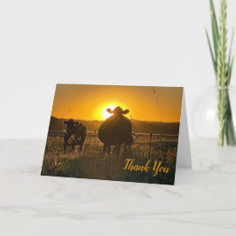 Tarjeta De Agradecimiento Vacas al atardecer