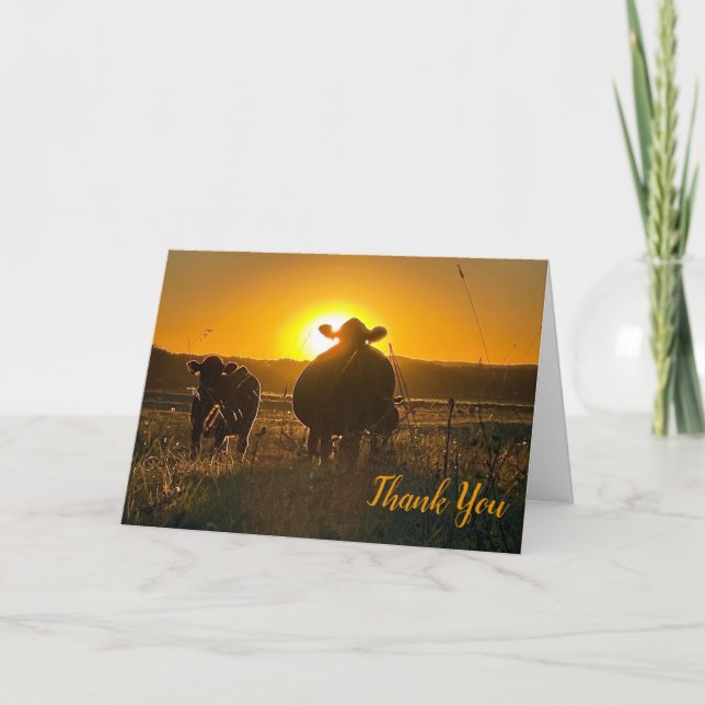 Tarjeta De Agradecimiento Vacas al atardecer (Anverso)