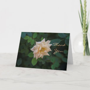 Tarjeta De Agradecimiento Vanilla Rosa gracias