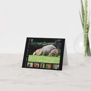 Tarjeta De Agradecimiento Varios animales de Sudamérica