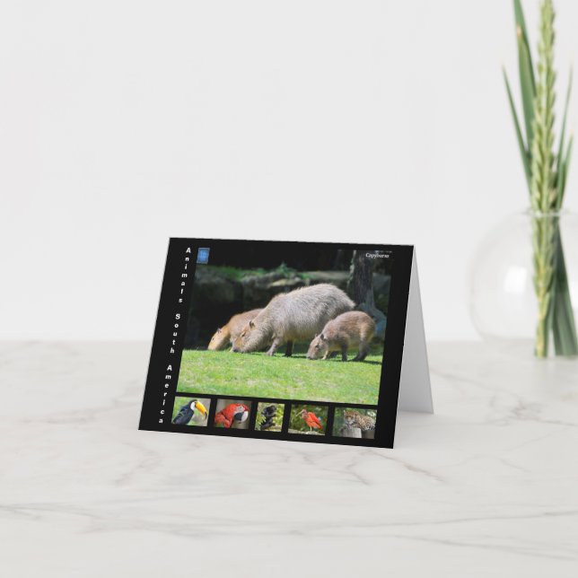 Tarjeta De Agradecimiento Varios animales de Sudamérica (Anverso)