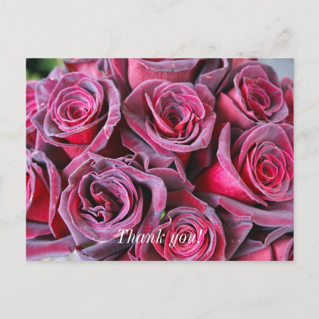 Tarjeta de agradecimiento Velvet Beauty (Anverso)