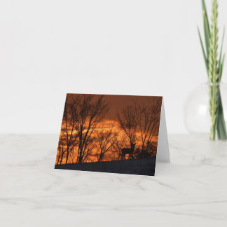 Tarjeta De Agradecimiento Venado blanco al atardecer.