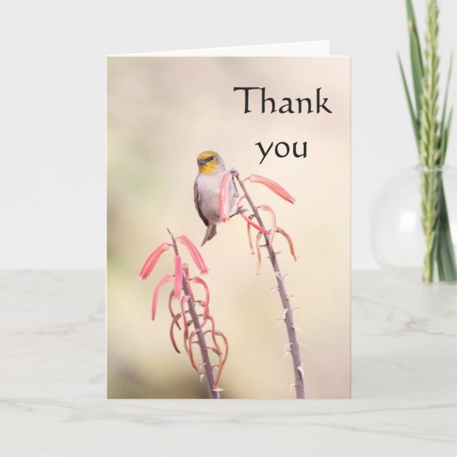 Tarjeta De Agradecimiento Verdin encaramado en el penstemon, gracias (Anverso)