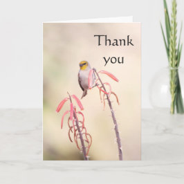 Tarjeta De Agradecimiento Verdin encaramado en el penstemon, gracias