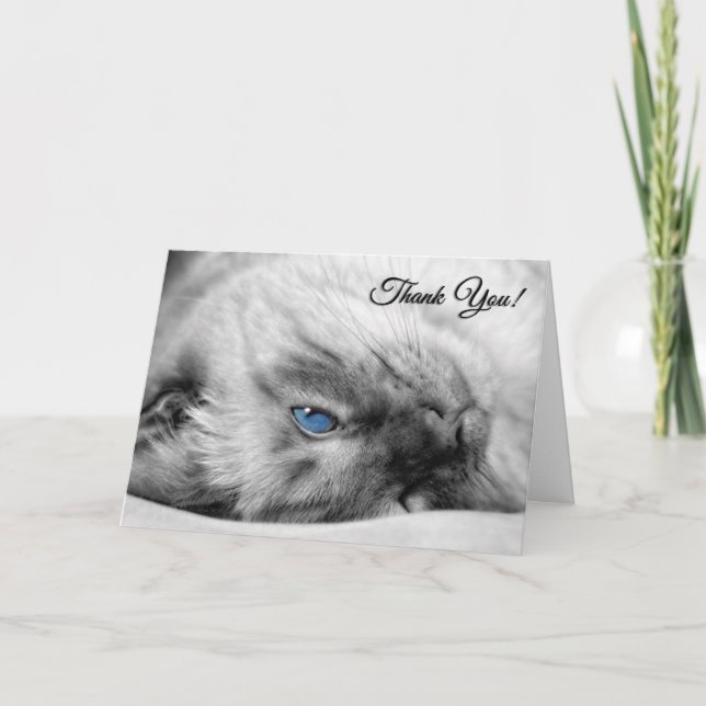 Tarjeta De Agradecimiento Veterinaria del gato siamés (Anverso)