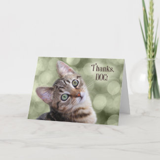 Tarjeta De Agradecimiento Veterinaria del gato Tabby Kitten