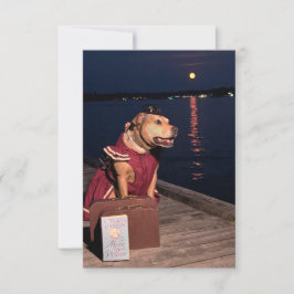 Tarjeta De Agradecimiento Viajero Sailor Dog notecard libro de disfraces div