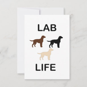 Tarjeta De Agradecimiento vida de laboratorio todos los colores siluetas