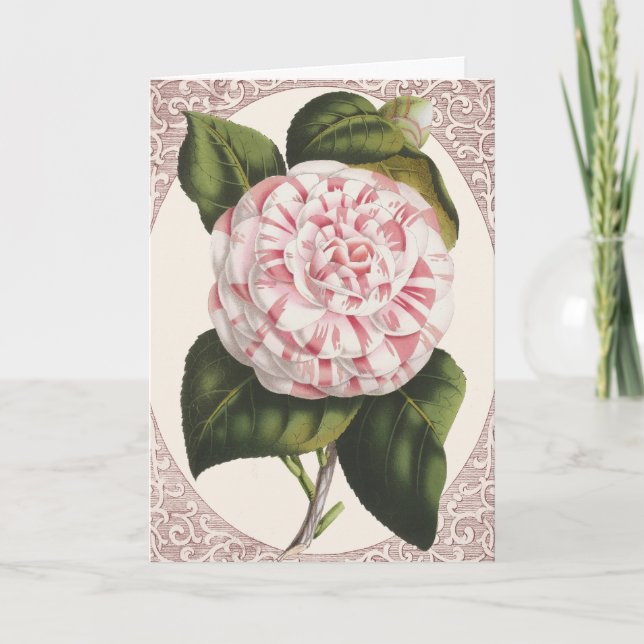 Tarjeta De Agradecimiento Vintage Camellia Elegant Gracias (Anverso)