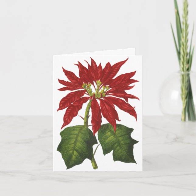 Tarjeta De Agradecimiento Vintage Christmas Gracias (Anverso)