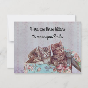 Tarjeta De Agradecimiento Vintage Cute Kitten Get Well Card