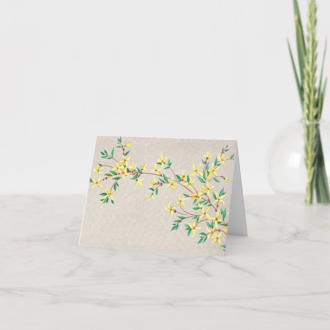 Tarjeta De Agradecimiento Vintage Forsythia (Anverso)