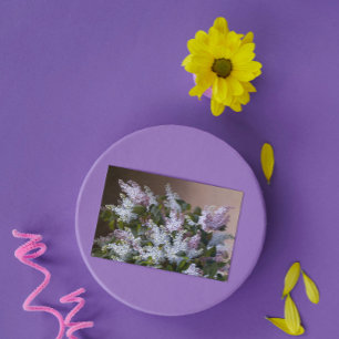 Tarjeta De Agradecimiento Vintage Lilacs Gracias