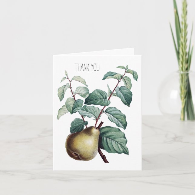 Tarjeta De Agradecimiento Vintage Pear Gracias (Anverso)