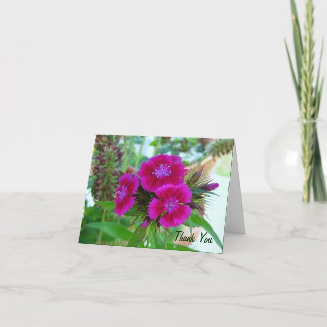 Tarjeta De Agradecimiento Violet Sweet Williams - Floral Notecard (Anverso)