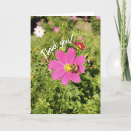 Tarjeta de agradecimiento Vivid Pink Cosmos Flower