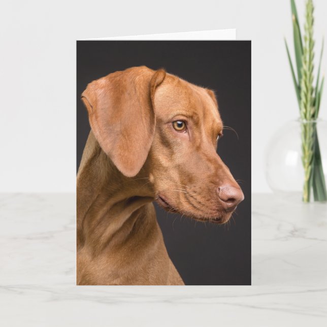 Tarjeta De Agradecimiento Vizsla Sporting Dog (Anverso)