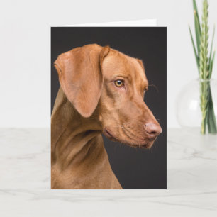 Tarjeta De Agradecimiento Vizsla Sporting Dog