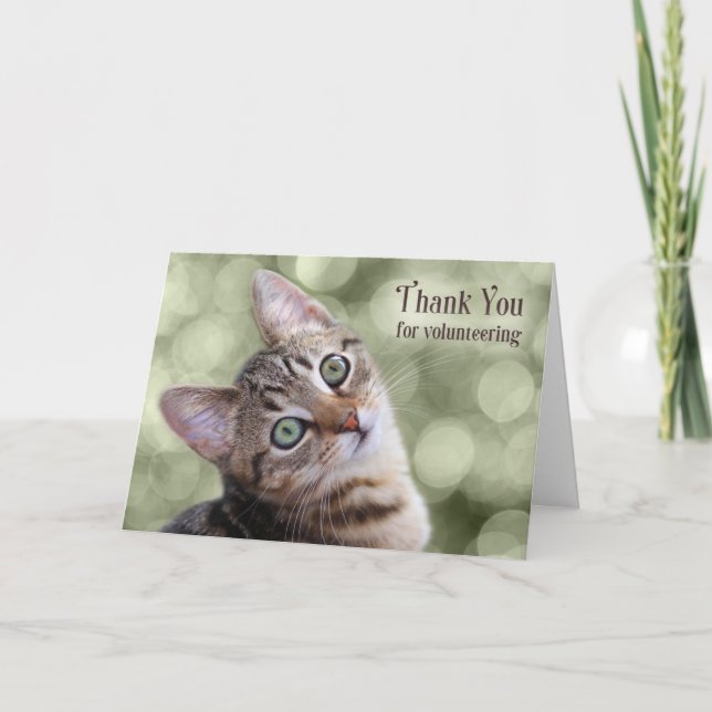 Tarjeta De Agradecimiento Volunteer Tabby Kitten (Anverso)